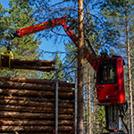 HIAB LOGLIFT 18S truck