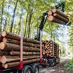 LOGLIFT forestry cranes