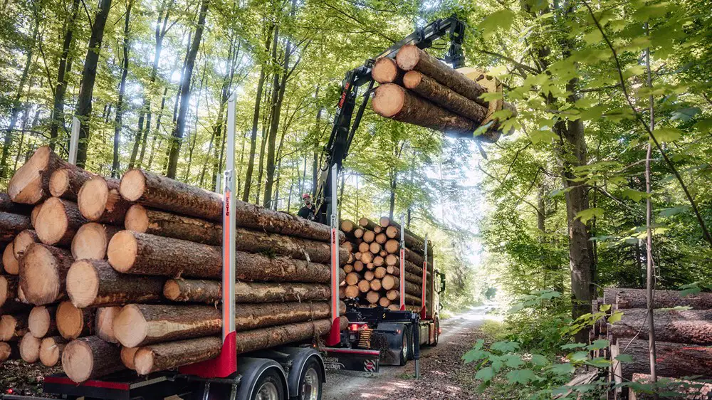 LOGLIFT forestry cranes