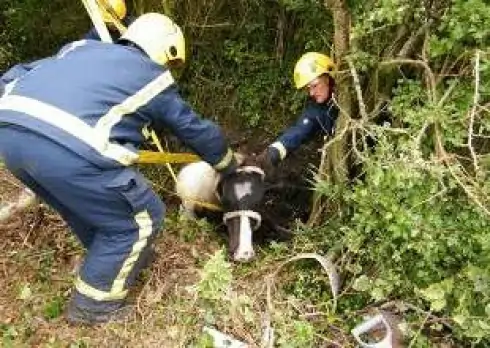 UK Firefighters HIAB Cranes Animal Rescue