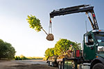 HIAB iX.138 HiDUO Truck Crane