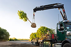 <span class='learn-more'>Learn More About The</span>HIAB iX.138 HiDUO - <span class='h2-desc'>LIGHTER, STRONGER AND PERFECTLY BALANCED</span>